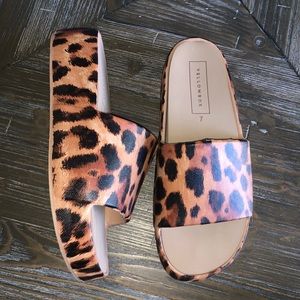 Yellow Box Torrey Slides